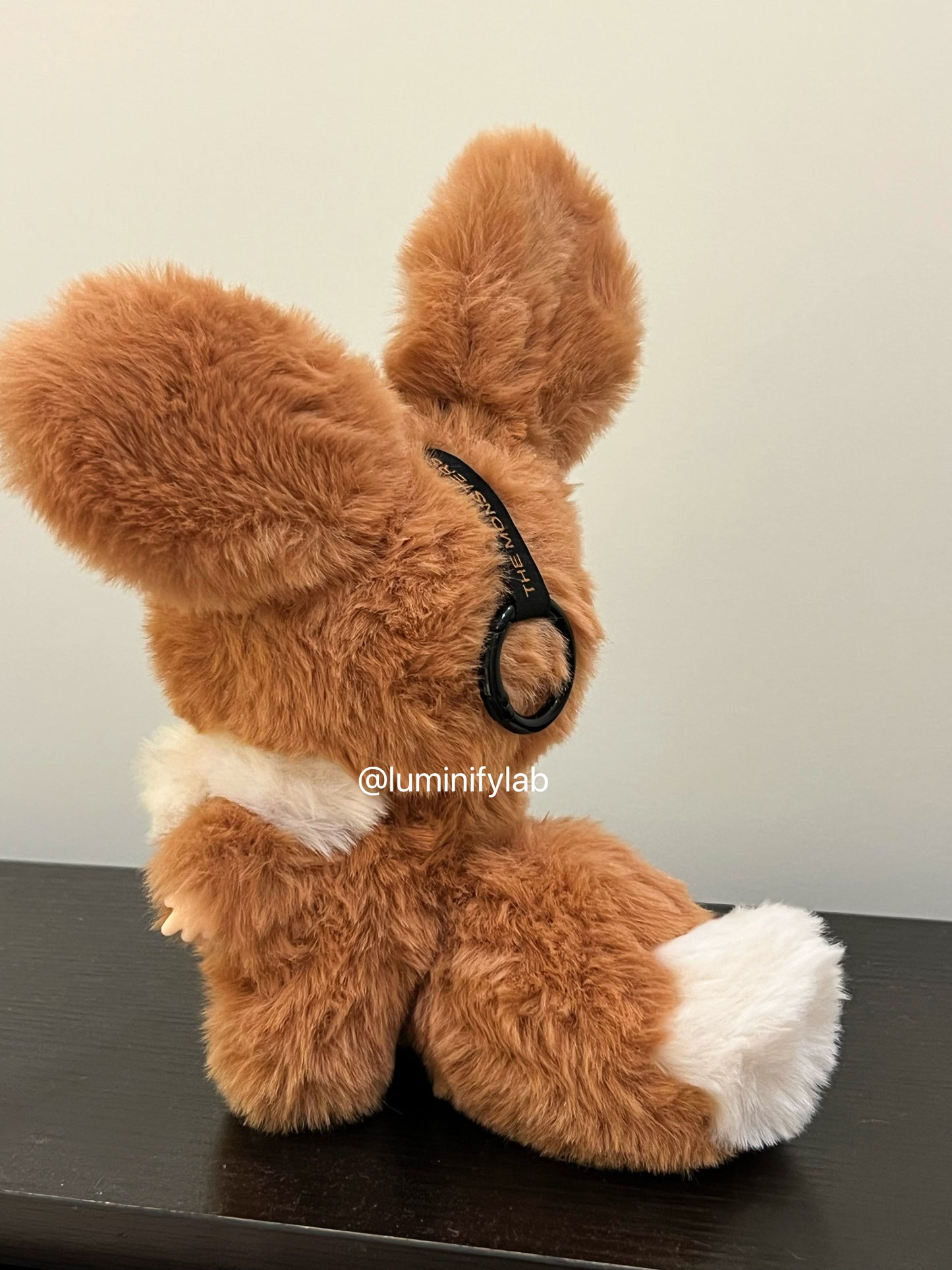 Custom Eevee by JiangJiang