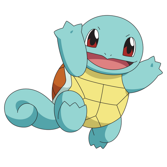 Custom Order - Squirtle