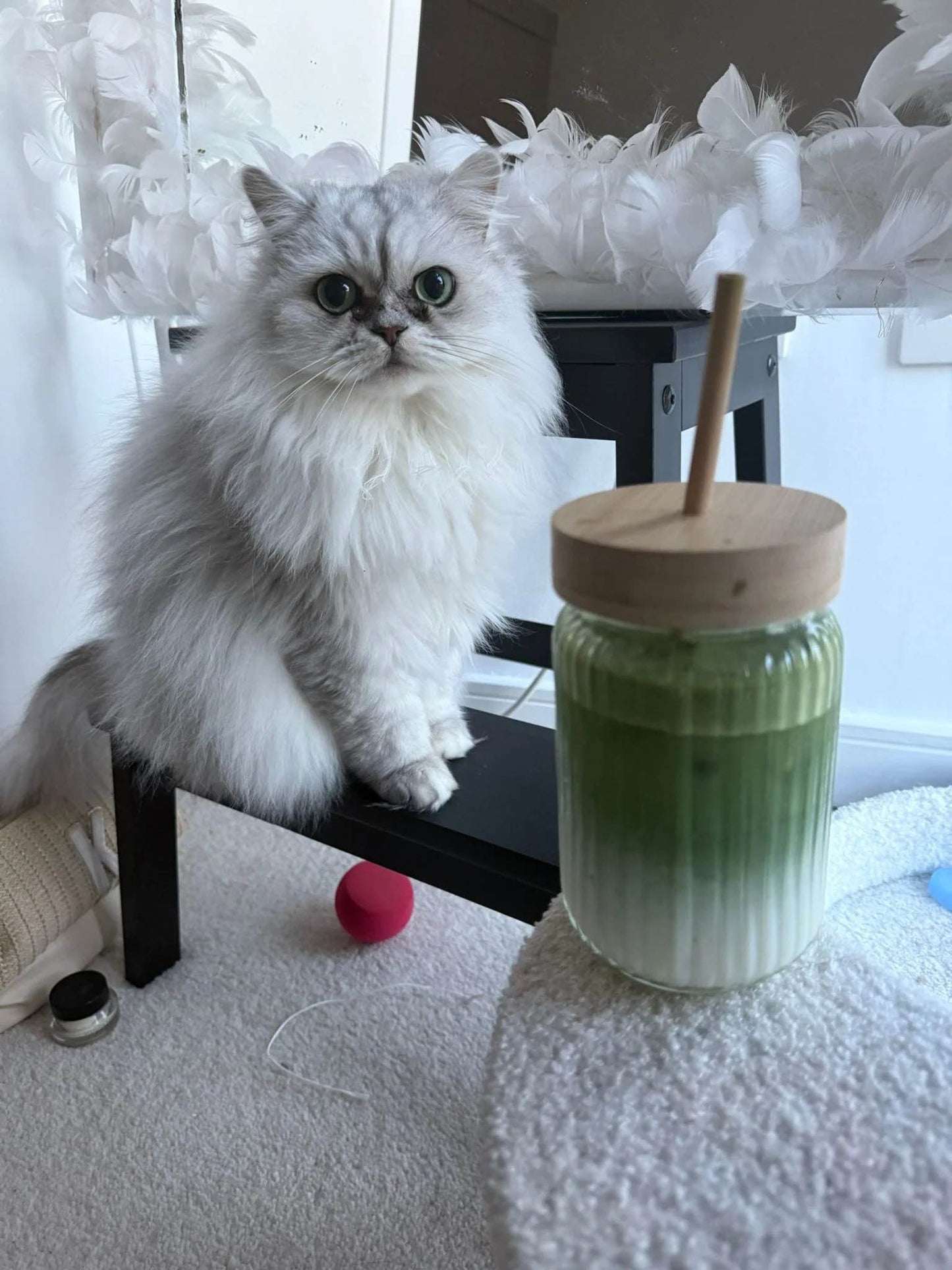 Custom Order Fatbubu x Pet